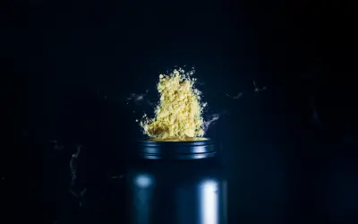 What Protein Powder Is Best