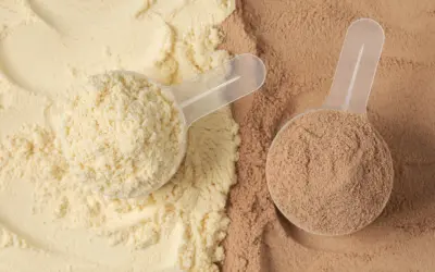 Can Protein Powder Expire